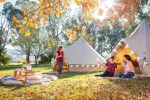 Valley View Glamping - Hervey Bay Accommodation