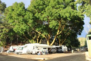 Williamstown Queen Victoria Jubilee Park - Hervey Bay Accommodation